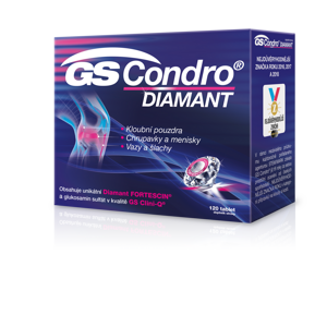 GS Condro diamant 120 tabliet